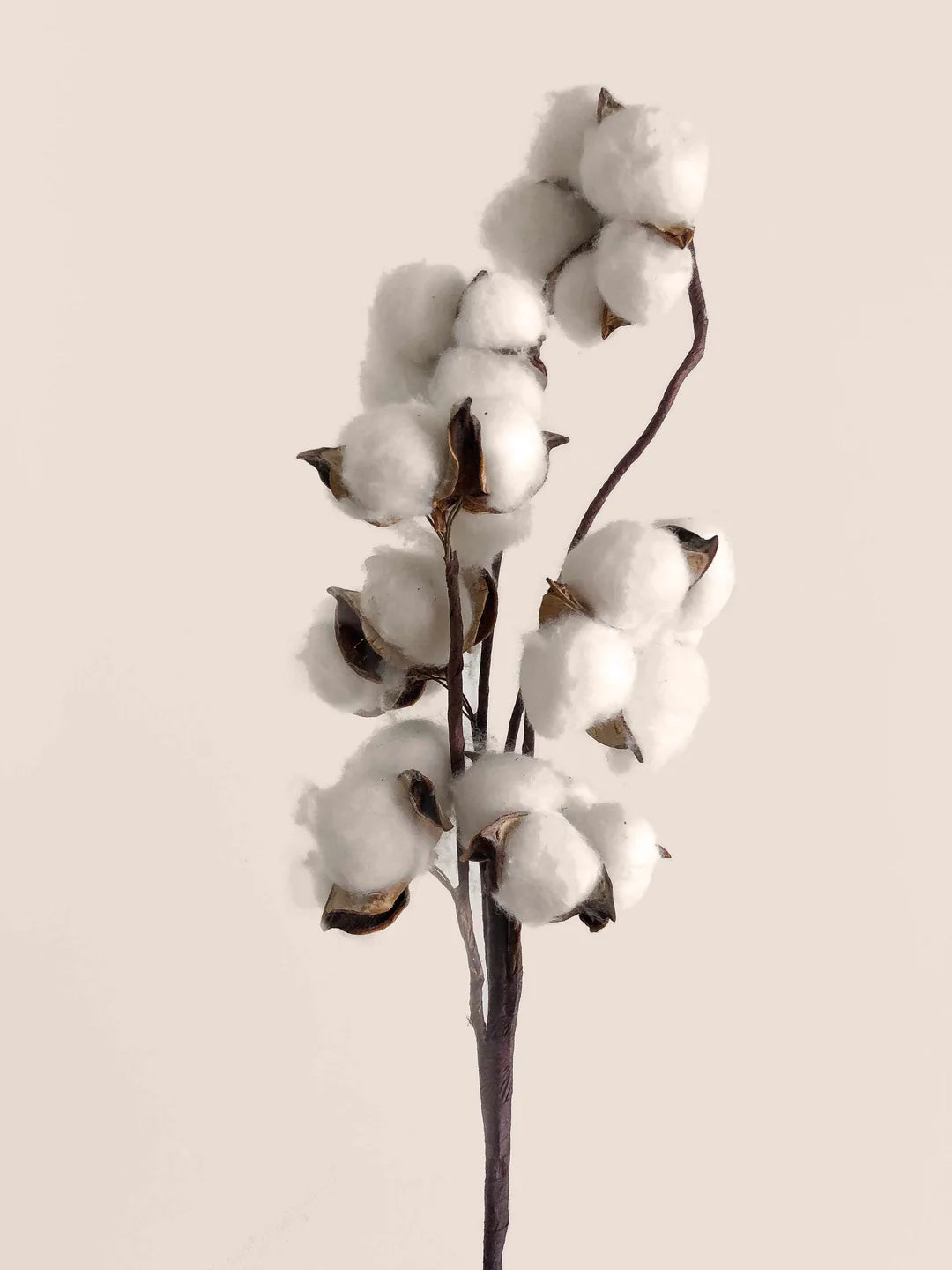 The Importance of High Quality Cotton in Shoelaces - Senkels