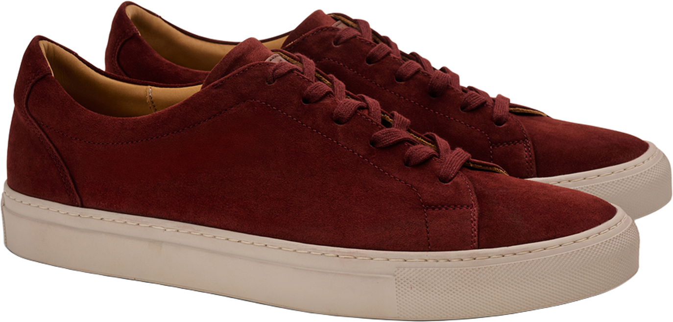 Ludwig Reiter Tennis