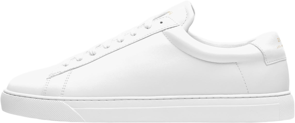 Zespa ZSP4 Full Color